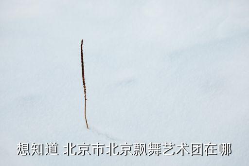 想知道 北京市北京飘舞艺术团在哪