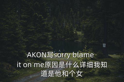 AKON写sorry blame it on me原因是什么详细我知道是他和个女