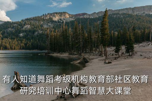 舞蹈考级哪个权威，有人知道舞蹈考级机构教育部社区教育研究培训中心舞蹈智慧大课堂
