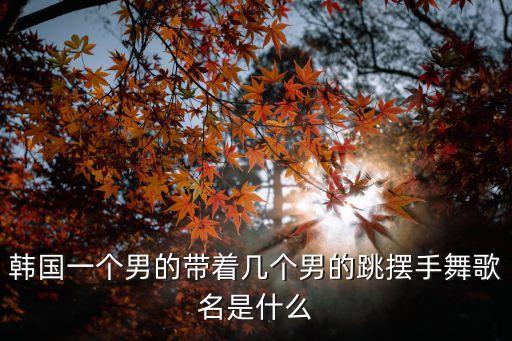 四边摆手那条是什么舞，韩国一个男的带着几个男的跳摆手舞歌名是什么
