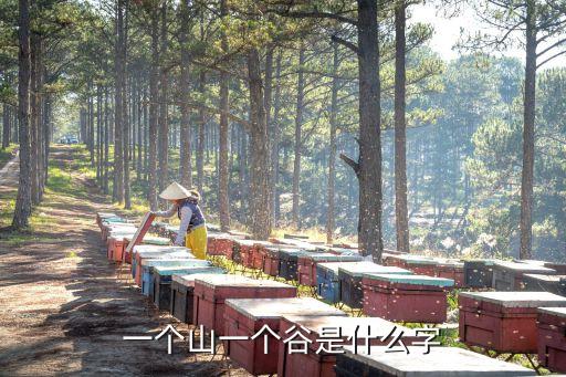一个山一个谷是什么字