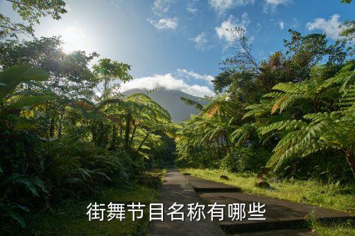 街舞节目名称有哪些