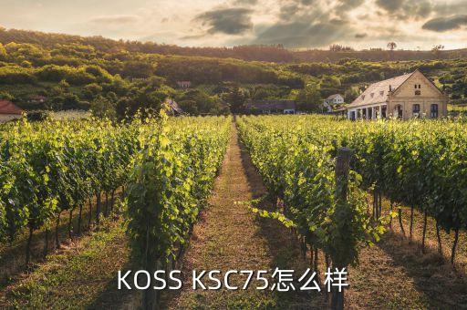 拉丁鞋75怎么样，凯斯75怎么样啊