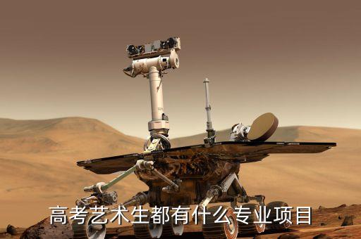 高考艺术生都有什么专业项目