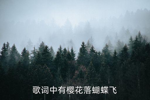 歌词中有樱花落蝴蝶飞