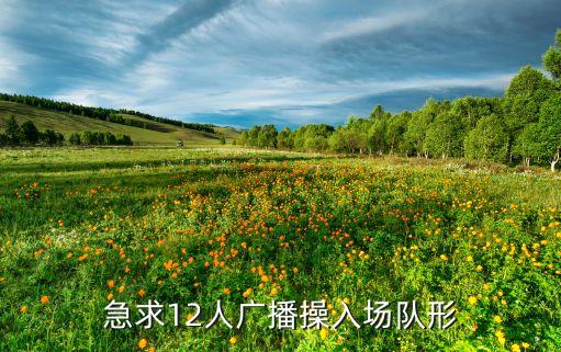 急求12人广播操入场队形