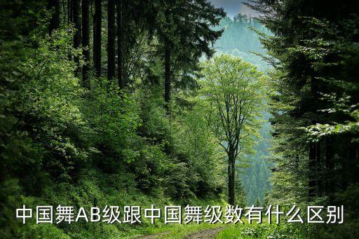 中国舞AB级跟中国舞级数有什么区别