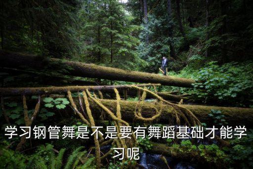 学习钢管舞是不是要有舞蹈基础才能学习呢