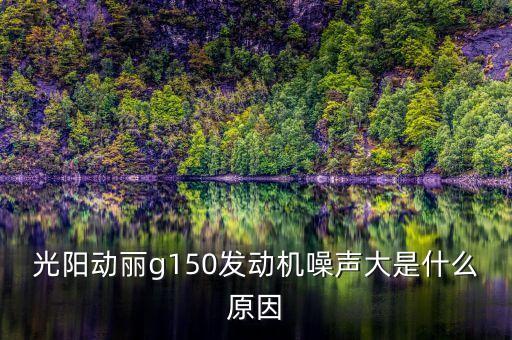 光阳动丽g150发动机噪声大是什么原因