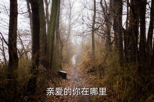 亲爱的你在哪里