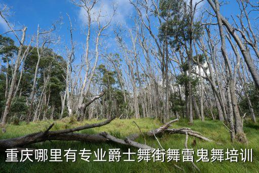 重庆哪里爵士舞专业，重庆这几家学爵士舞的哪个好