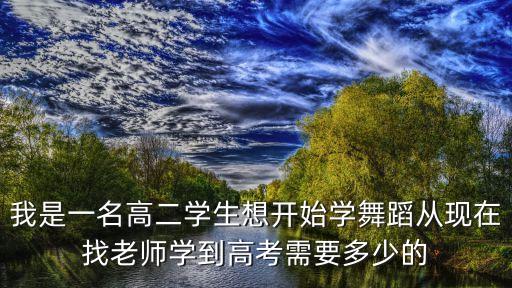我是一名高二学生想开始学舞蹈从现在找老师学到高考需要多少的