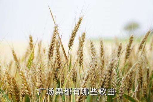 最新广场舞音乐是什么，广场舞有哪些歌曲