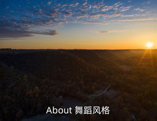 About 舞蹈风格