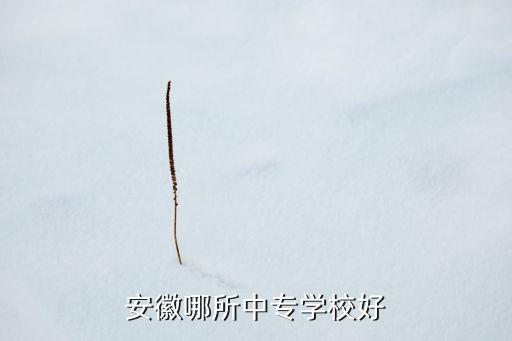 安徽哪所中专学校好