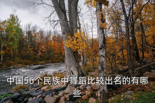 有什么好看的民族舞蹈，什么民族舞又好跳又好看