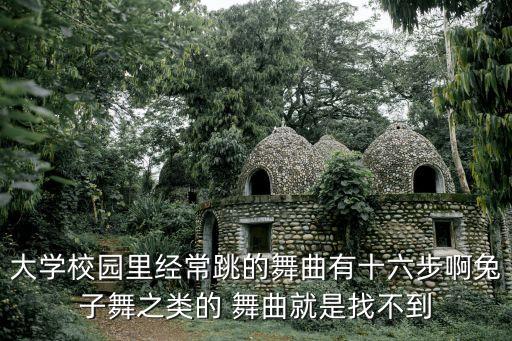 十六步的舞蹈，大学校园里经常跳的舞曲有十六步啊兔子舞之类的 舞曲就是找不到