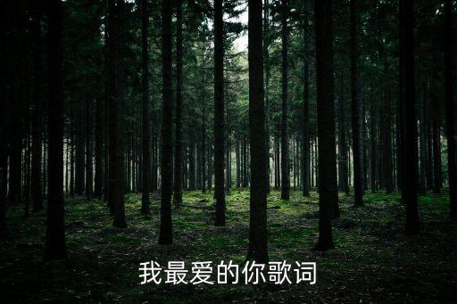 我最爱的你在哪里王孑，我最爱的你在哪儿