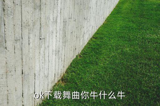 ok下载舞曲你牛什么牛