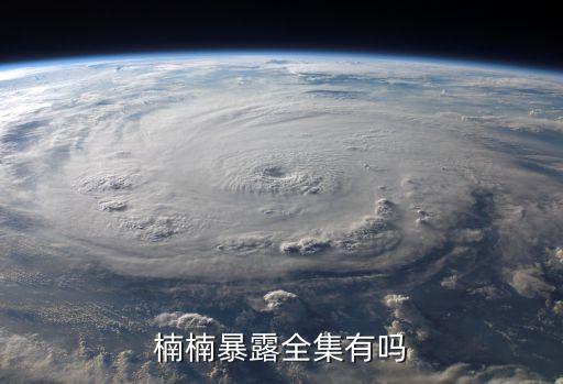 楠楠暴露全集有吗