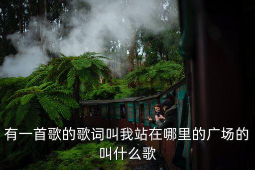 什么广场 歌名，有一首叫什么的广场的 歌 说明一下不是菜一临的垃圾歌 求知道的说下