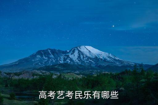 高考艺考民乐有哪些