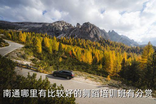 南通哪里有比较好的舞蹈培训班有分赏