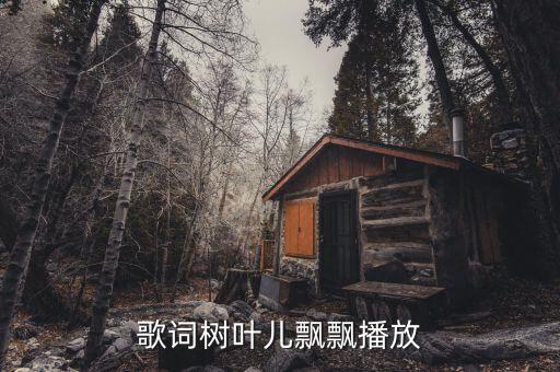 歌词树叶儿飘飘播放