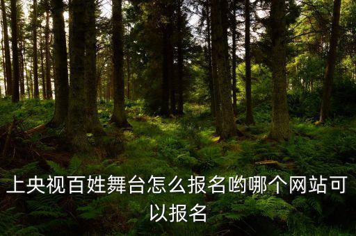 CCTV舞蹈大赛怎么报名，参加央视舞蹈世界怎么报名