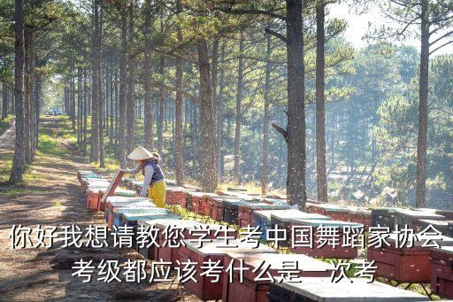 国家级舞蹈证怎么考，哪里可以考舞蹈考级
