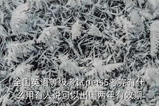 全国英语等级考试pets5考完有什么用有人说可以出国两年有效期