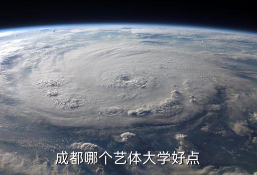 成都艺体学校前十名，成都市有那些艺术学校