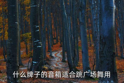 什么牌子的音箱安好广场舞用，什么牌子的音箱适合跳广场舞用
