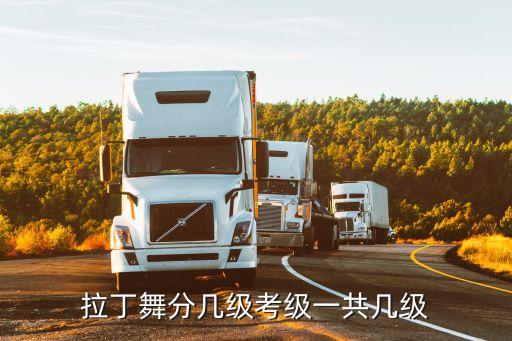 拉丁舞分几级考级一共几级
