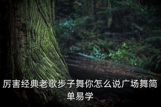 厉害经典老歌步子舞你怎么说广场舞简单易学