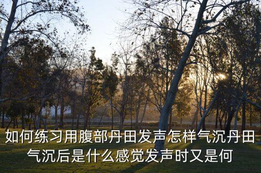 如何练习用腹部丹田发声怎样气沉丹田气沉后是什么感觉发声时又是何