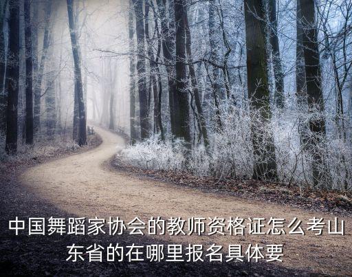 专业舞蹈教师资格证怎么考试时间，南昌舞蹈教师资格证怎么考在哪里应该也样报名