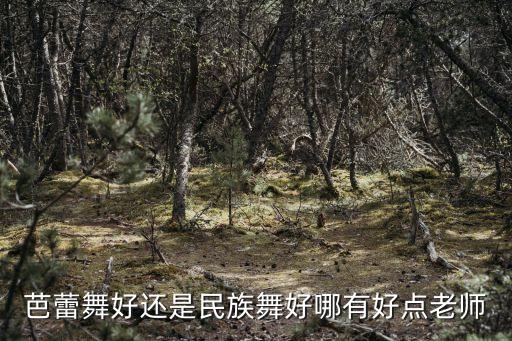 芭蕾舞好还是民族舞好哪有好点老师