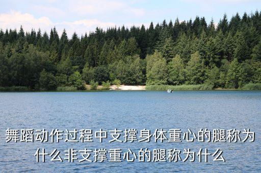 舞蹈动作过程中支撑身体重心的腿称为什么非支撑重心的腿称为什么