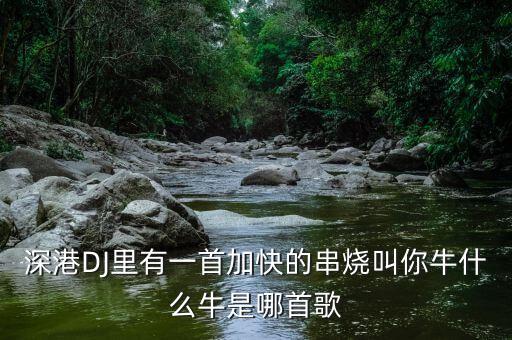 你牛什么牛，你牛什么牛你从来没想过姐的感受是什么歌