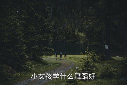 小女孩学什么舞蹈好