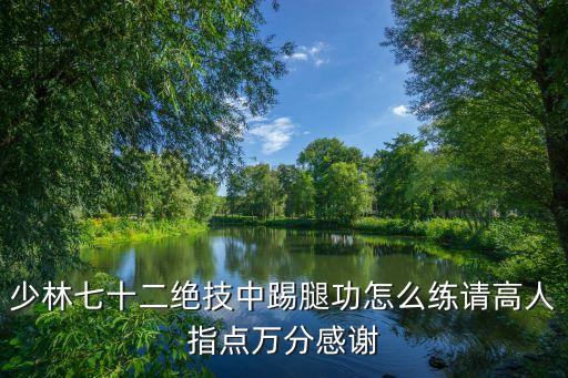 腿功怎么练视频，怎么练武术