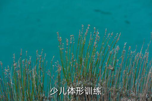少儿体形训练