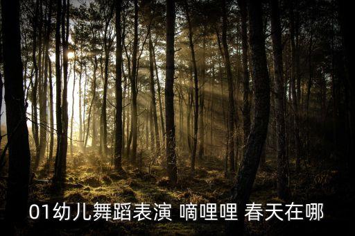 幼儿园春天在哪里舞蹈，幼儿舞蹈春天在哪里