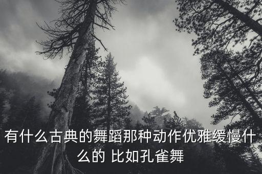 有什么古典的舞蹈那种动作优雅缓慢什么的 比如孔雀舞
