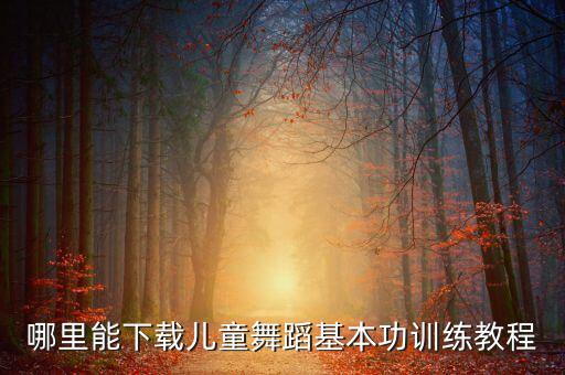 哪里能下载儿童舞蹈基本功训练教程