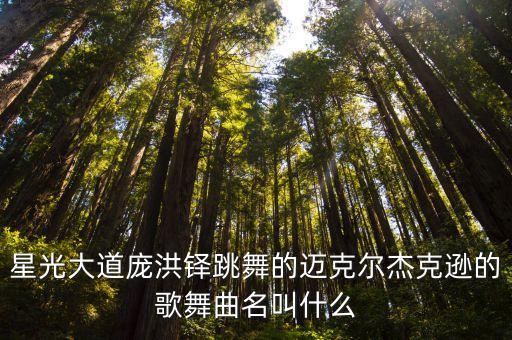 鹤舞舞曲什么名字，求一首舞曲的名字有一句long lei lei long lei