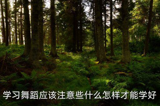 学习舞蹈应该注意些什么怎样才能学好