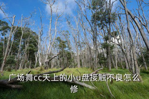 广场舞cc天上的小u盘接触不良怎么修