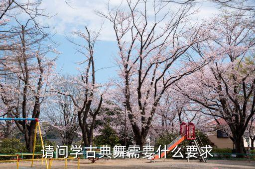 古典舞有什么要求，古典舞蹈最讲究什么呢